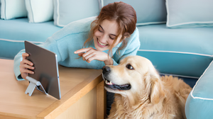 KEEP PETS HAPPY DAILY