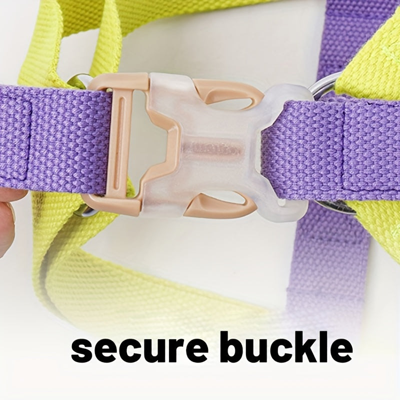 Transform Your Pet's Walks with the Rainbow Colorblock Pet Harness And Leash Set