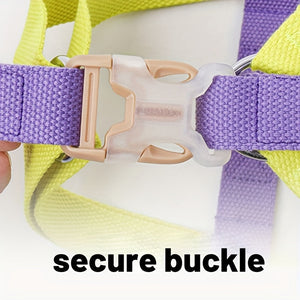 Transform Your Pet's Walks with the Rainbow Colorblock Pet Harness And Leash Set