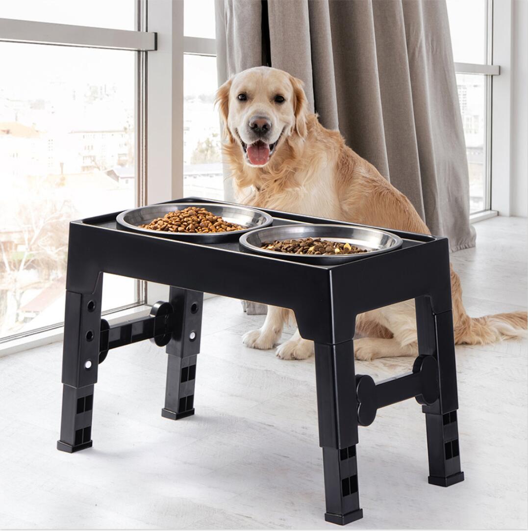 Why Your Pet Deserves the Best Feeding Experience
