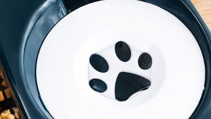 Enhance Your Pet's Dining Experience with Our Automatic Food Bowl
