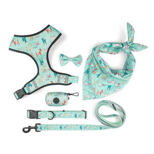 Unleash Style and Comfort with Our Pet Leash Harness With Bow